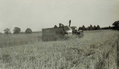 Cutting wheat, Bellows, Eaton Rapids - July 1939