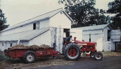 Farmall 400 diesel, Brian Godner, Eaton County Fairgrounds - July 1978