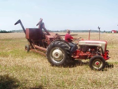 Ford 801 tractor, Ford pull type combine, Tom Hengesbach, Portland - July 2006